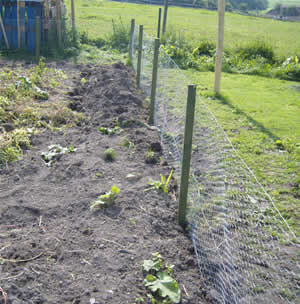 finished fence